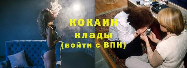 spice Аркадак