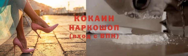 spice Аркадак