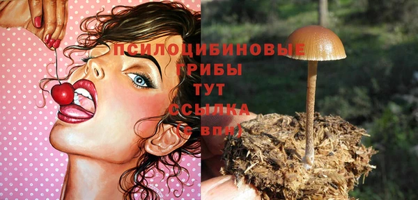 jwh Армянск
