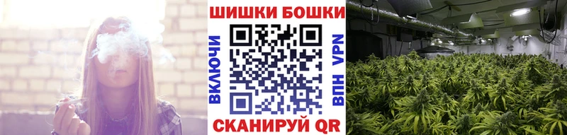 даркнет сайт  Судак  блэк спрут зеркало  Канабис семена 